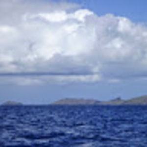 Meet your Posher, Lee